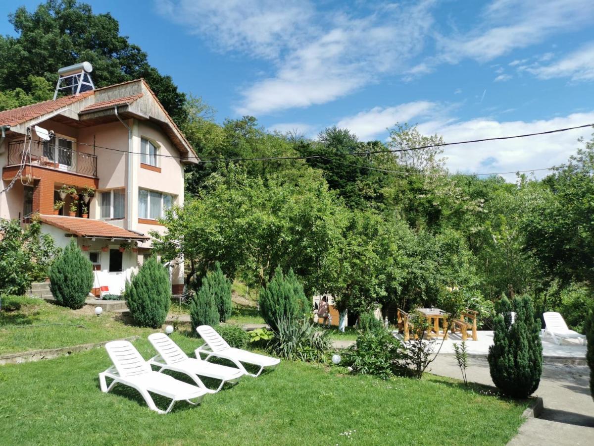 ホテル Casa Noastra Orşova エクステリア 写真